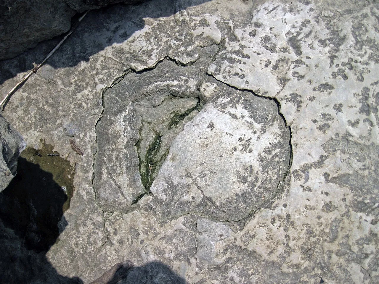 Fossil hunting landscape in Indiana