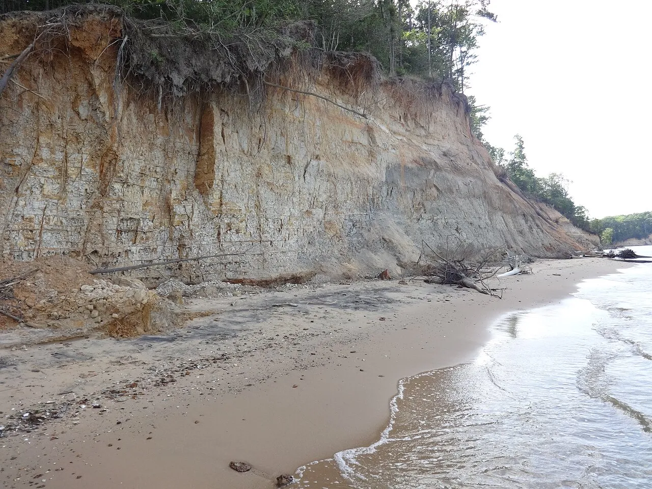 Fossil hunting landscape in Maryland