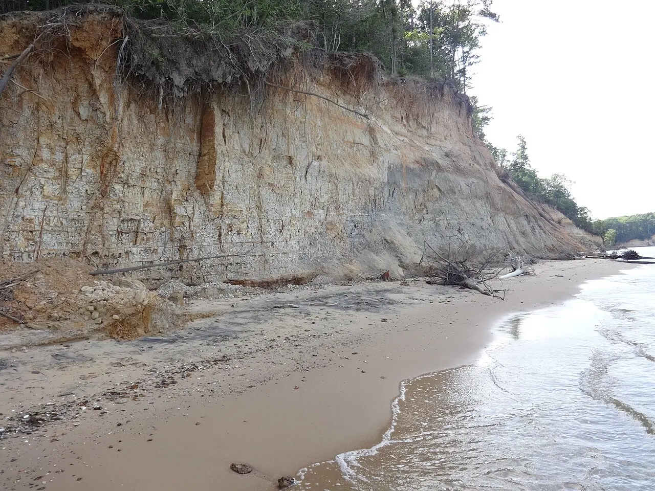 Fossil hunting in Maryland