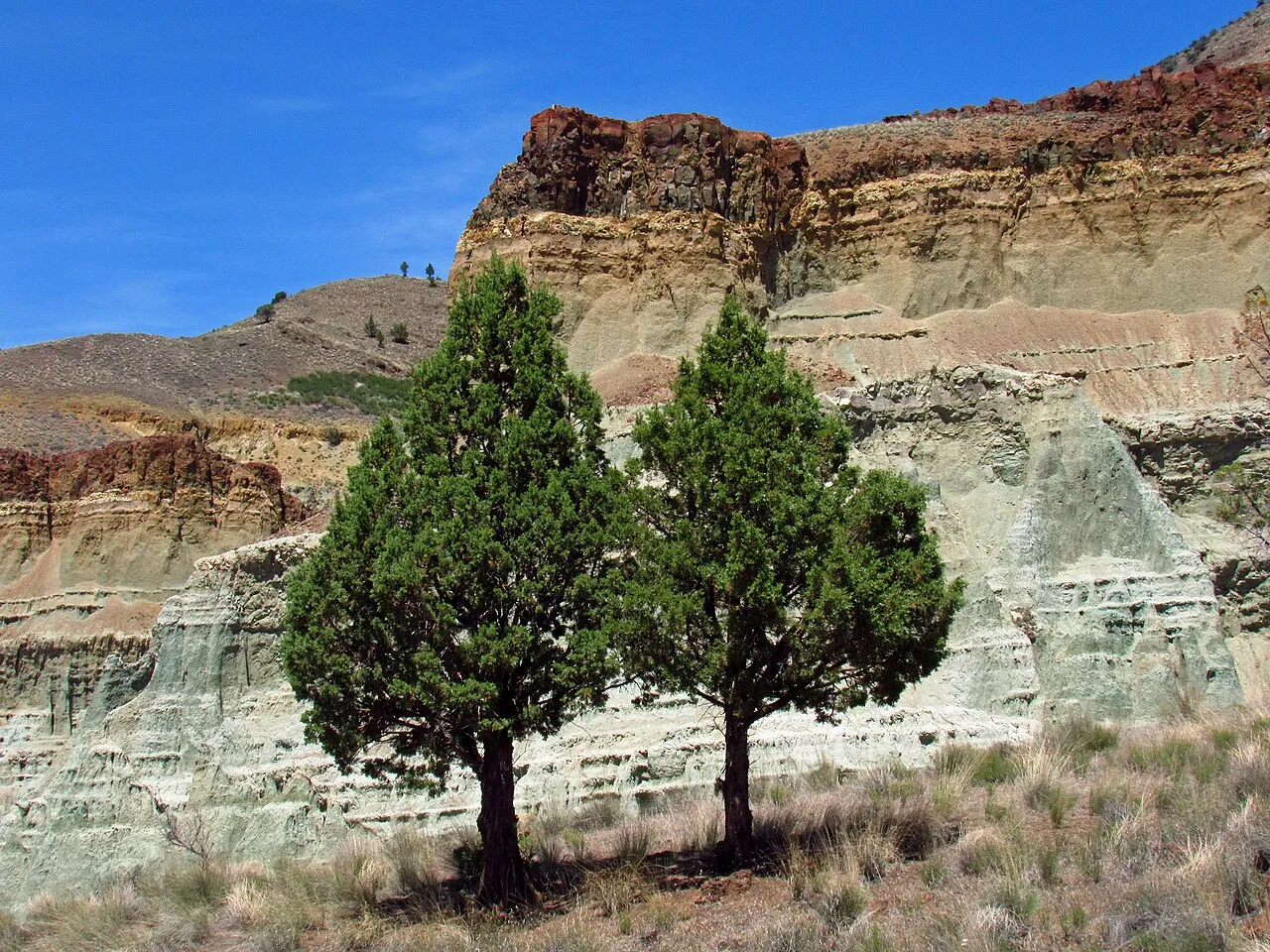 Fossil hunting landscape in Oregon