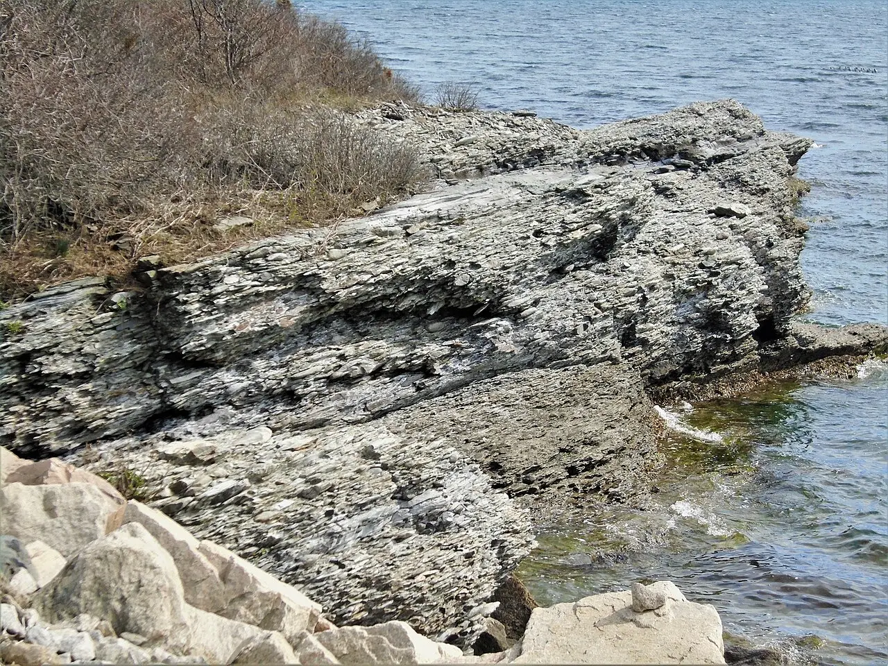 Sedimentary rock outcrop with visible fossil layers