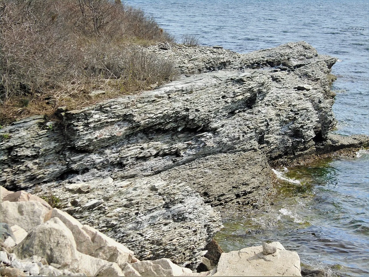 Sedimentary rock outcrop — the type of public land where fossil collecting laws apply