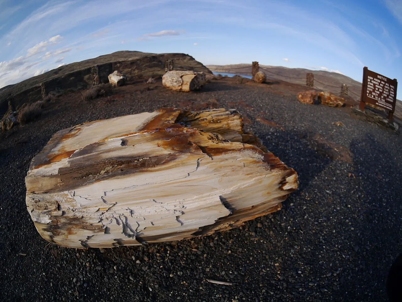 Fossil hunting landscape in Washington